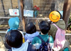 海の中道海浜公園の動物の森で出迎えてくれるインコたち